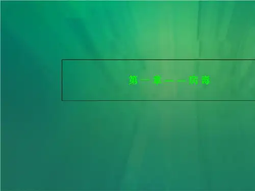 第一章——病毒