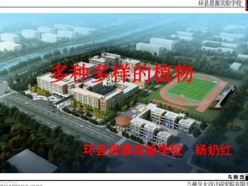 六年级科学上册4.3多种多样的植物课件1教科版