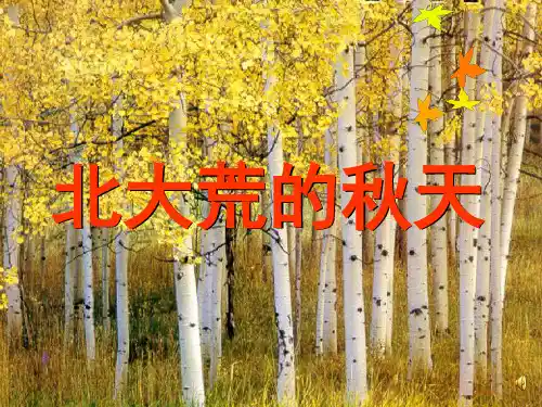 -苏教版三年级上语文课件-北大荒的秋天