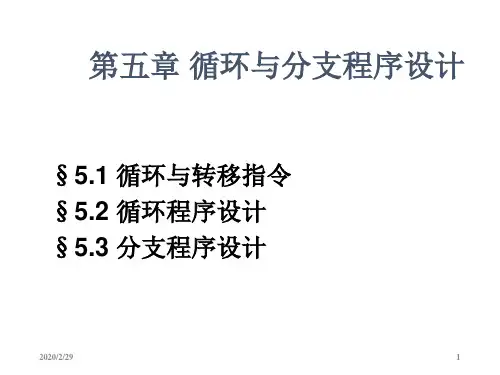 5循环与分支设计