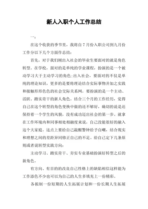 新人入职个人工作总结