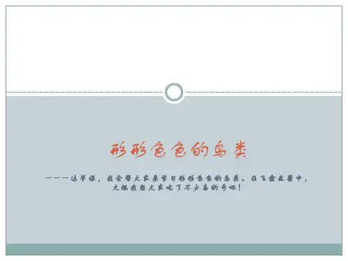 形形色色的鸟类