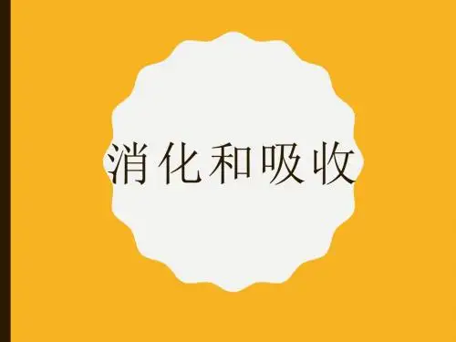 消化和吸收