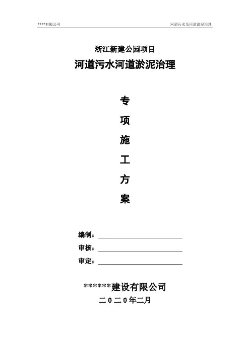河道治理专项方案