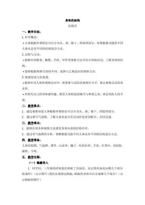 身体的结构教案
