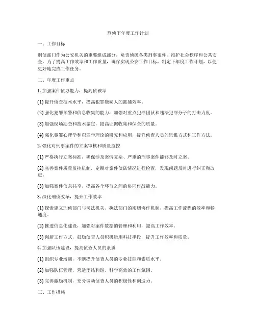 刑侦下年度工作计划