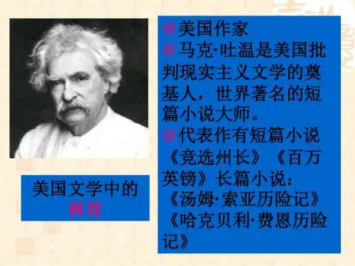 汤姆索亚历险记课件