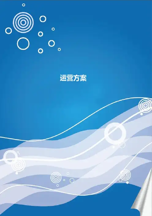 运营方案 2