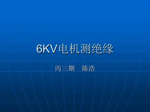 6KV电机测绝缘