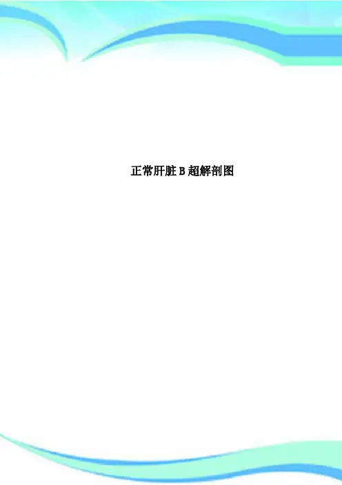 正常肝脏B超解剖图 2