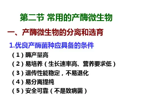 酶工程2-2 常用的产酶微生物