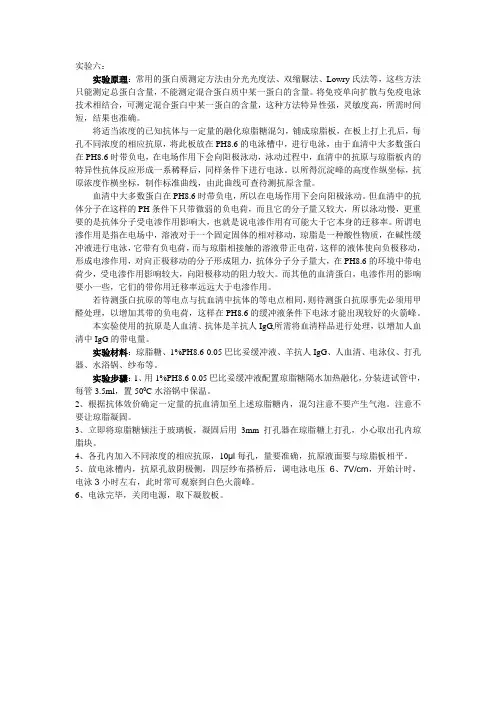 离子交换柱层析法分离纯化IgG