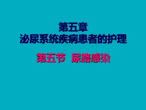 尿路感染病人的护理个案学习ppt