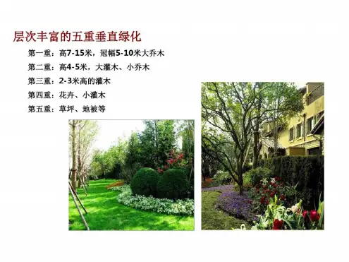 五层植物配置