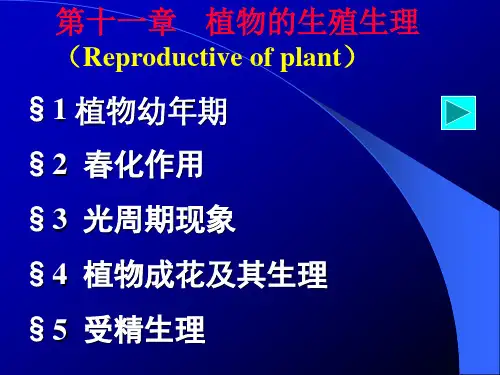 植物生理11
