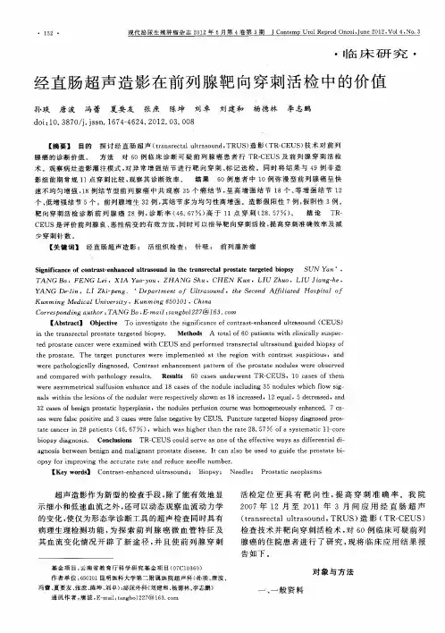 经直肠超声造影在前列腺靶向穿刺活检中的价值