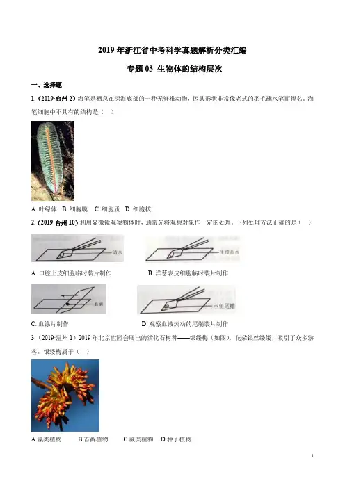 2019年浙江省中考科学真题解析分类汇编专题03 生物体的结构层次(原卷版)