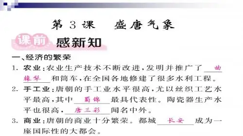 七年级历史下册第一单元隋唐时期：繁荣与开放的时代第3课盛唐气象课件新人教版