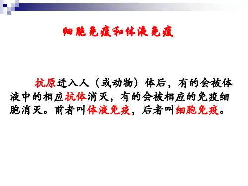 中图版 必修三 细胞免疫和体液免疫  课件(8张)