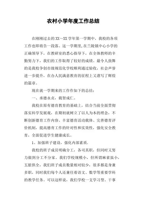 农村小学年度工作总结