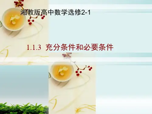 数学选修2-1(湘教版)1.1.3充分条件与必要条件