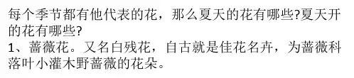 夏天开的花有哪些