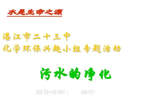 初三化学上学期化学环保兴趣小组专题活动--水的净化-湘教版