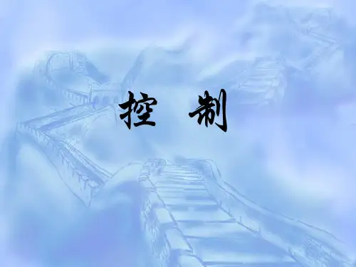 绩效管理组织的整体绩效控制
