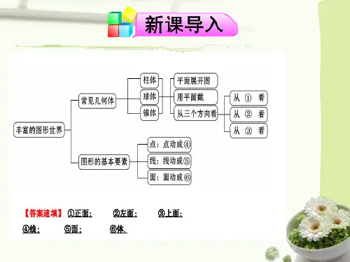 丰富的图形世界(复习题)教学课件