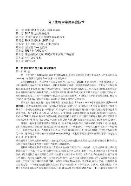 分子生物学常用实验技术 2