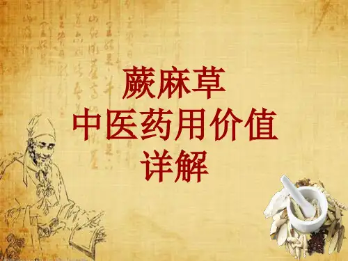 中药学_蕨麻草_药材详解课件模板