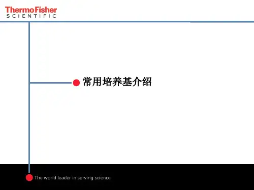微生物 常用培养基介绍
