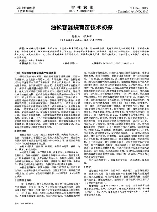 油松容器袋育苗技术初探