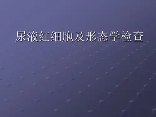 尿液红细胞与形态