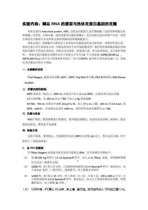 RNA提取