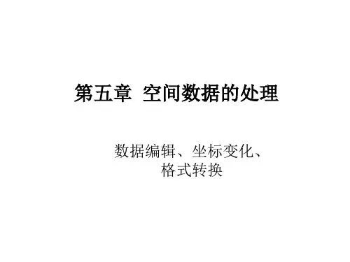 地理信息系统5-空间数据的处理