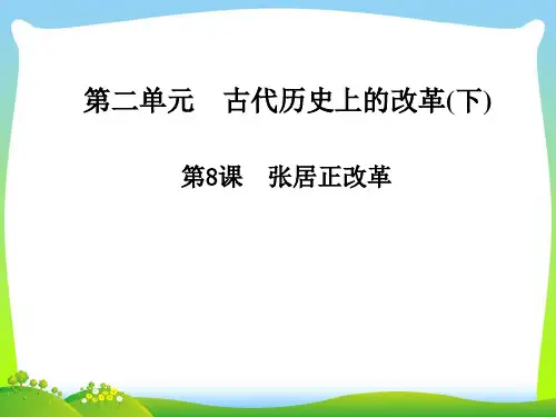 古代历史上的改革-课件