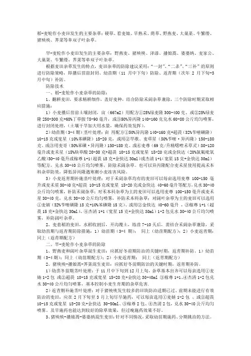冬小麦田杂草防除技术方案