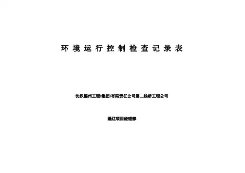 环境运行控制检查记录表1