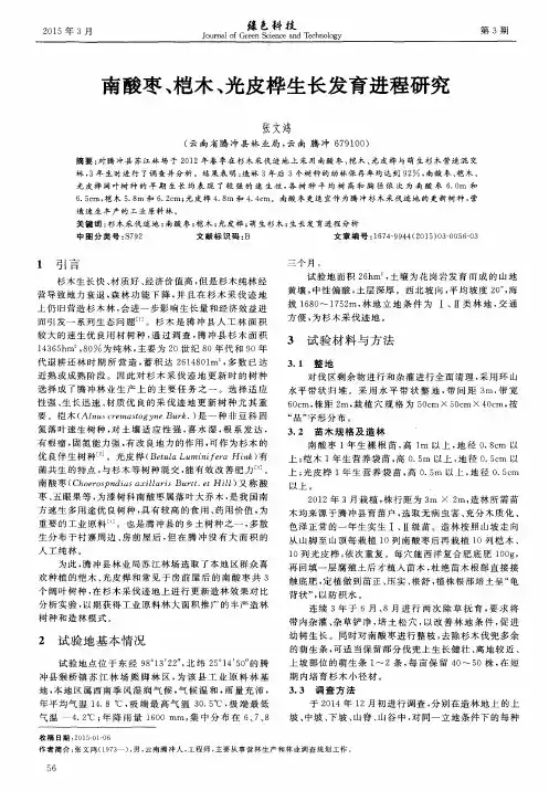 南酸枣、桤木、光皮桦生长发育进程研究