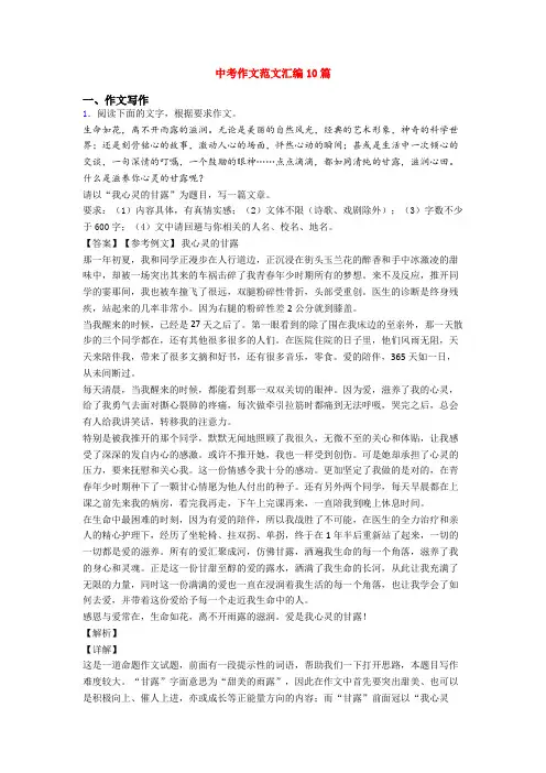中考作文范文汇编10篇