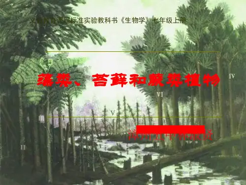 藻类、苔藓和蕨类植物课件PPT