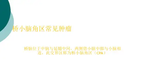 桥小脑角区常见肿瘤及影像表现