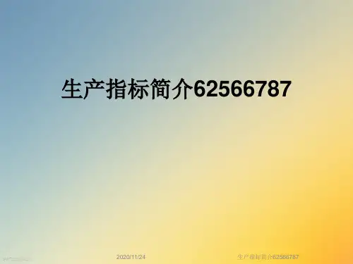 生产指标简介62566787