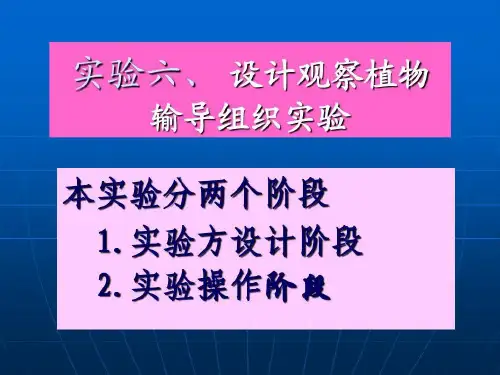 大学生物设计观察植物输导组织实验共24页文档