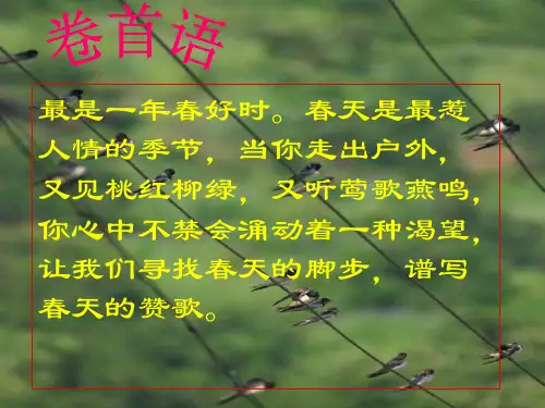 寻觅春天的踪迹12.ppt