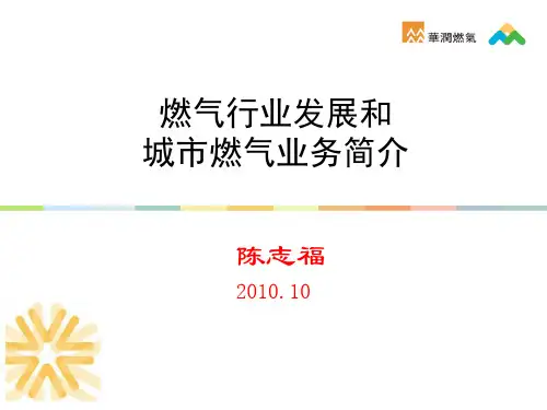 燃气行业介绍简介资料文档