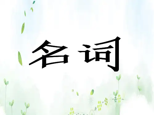 2020中考英语语法专项复习:名词