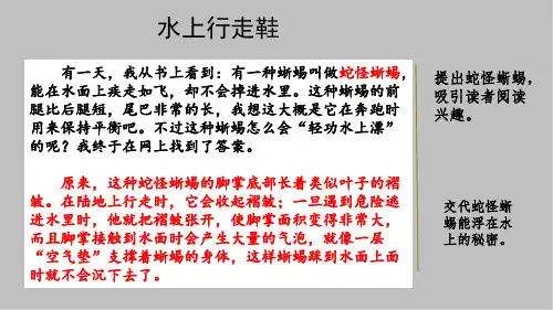 最新2020年春部编版四年级语文下册习作我的奇思妙想课范文1水上行走鞋课件1