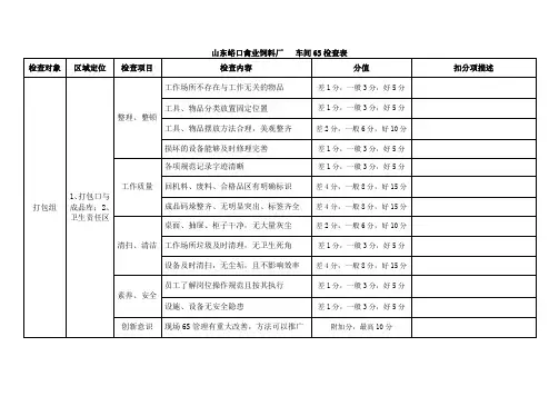 车间6S卫生检查表